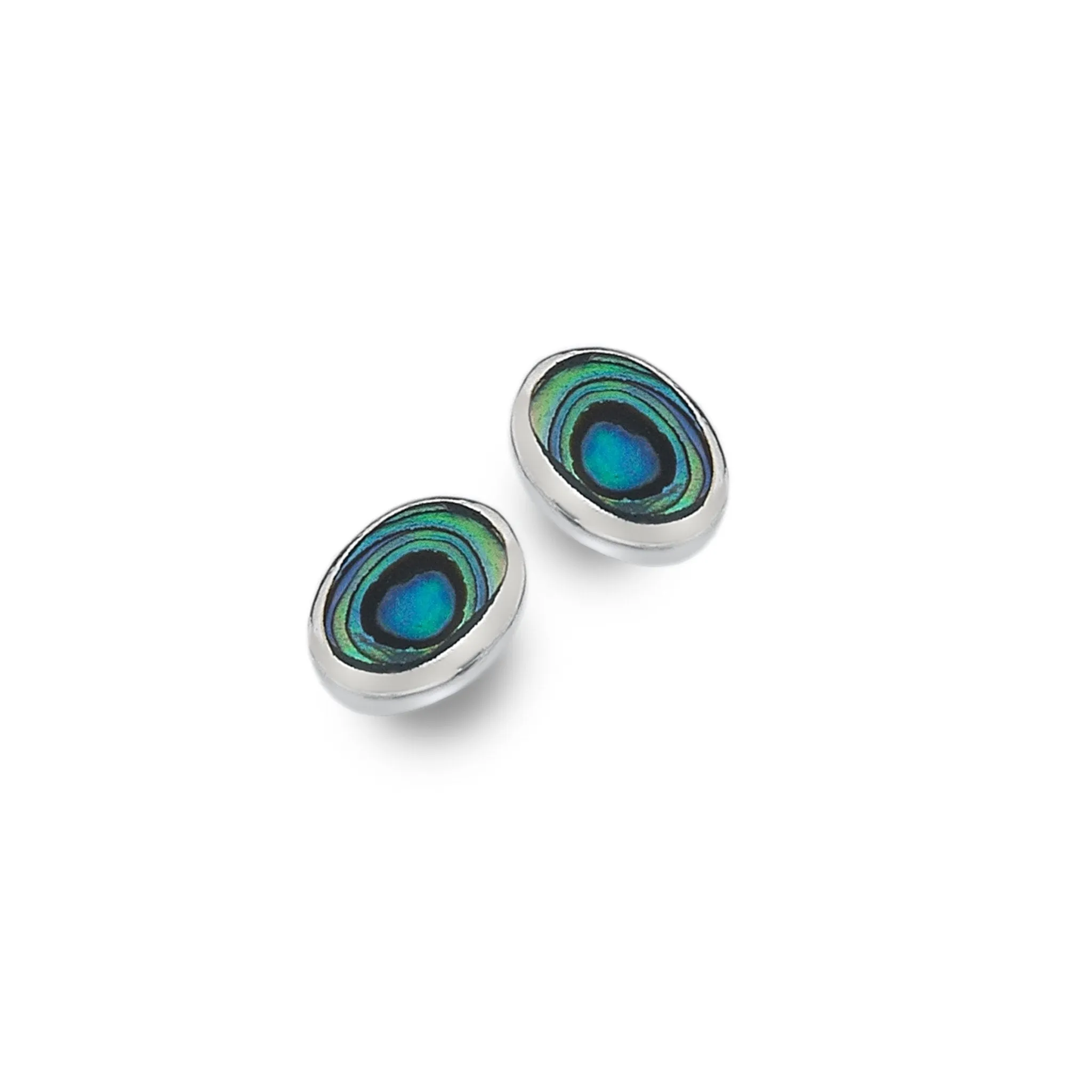 Paua Shell Oval Studs